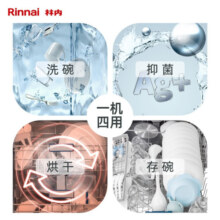 林内（Rinnai）13套大容量 嵌入式 家用洗碗机 洗烘干一体 热风烘干 全自动刷碗机灶下乐净系列M2  WQD13-M2GB