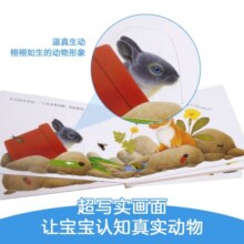 乐乐趣普莱格尔系列 动物朋友手指推拉书认知翻翻书 0-3岁婴幼儿早教书籍感官刺激亲子互动翻翻绘本 【手指推拉书】忙碌的小兔
