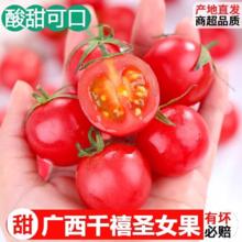 广西圣女果 5斤