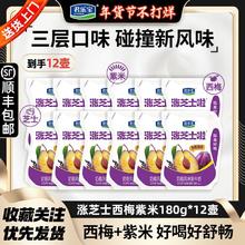 百亿补贴：君乐宝 涨芝士啦酸奶西梅紫米味180g*12壶原味芝士风味酸牛奶零食