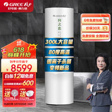 GREE 格力 空气能热水器家用300升变频1级WiFi银离子杀菌水温80℃润之恋SXTD300LCJW/R-1q(5-7人)家电补贴