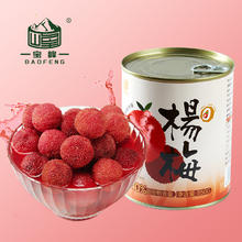宝峰 糖水杨梅罐头 300g