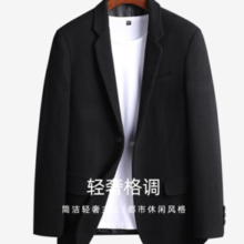 SHANSHAN 杉杉 男士羊毛混纺西服SSI243253919