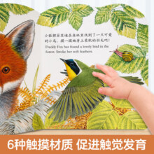 乐乐趣 0-2-3岁婴幼儿童启蒙早教中英双语感官刺激纸板认知书 【触摸书】晚安小鸭子