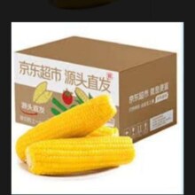 PLUS会员：京鲜生东北黄糯玉米棒 220g×8根