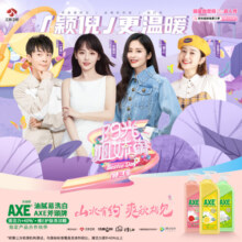 斧头牌AXE晶怡洁厕液 厕所马桶清洁剂洁厕灵除菌500g*3瓶