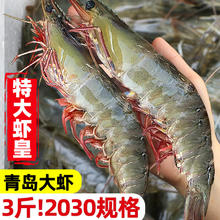 鲜驰 国产青岛大虾 大号白虾 气冻2030规格 净重1.5kg 盒装-源头直发 青岛大虾2030
