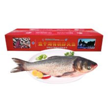 plus会员：查干湖 鱼现货 冬捕有机胖头鱼3.5-4.4斤1条 年货礼盒年夜饭 源头直发*3件