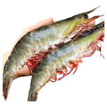 新鲜青岛大虾 冷冻对虾 1450g