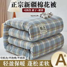 朴依 A类新疆棉花100%含被套 150x200cm 5斤