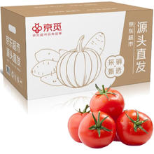 京东PLUS：京觅 山东普罗旺斯西红柿 净重5斤装 单果100g