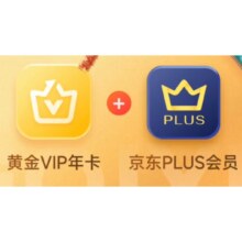 爱奇艺黄金VIP会员年卡加赠京东plus会员年卡