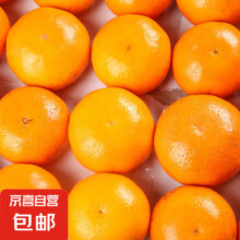 正宗广西武鸣沃柑 带箱4斤 中果55mm