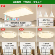 雷士照明NVC 语音智能遥控吸顶灯客厅灯卧室灯吊灯灯具套餐浪漫满天星现代简约灯具客厅吸顶灯组合灯具套餐
