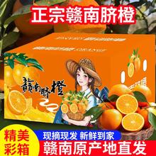 正宗赣南脐橙品质大果果香浓郁香甜多汁农家自产当天现采精美彩箱