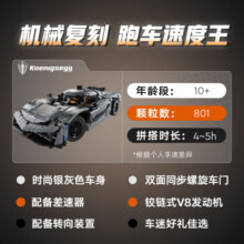 乐高（LEGO）积木机械组系列42173 柯尼塞格灰色超跑男孩儿童玩具新年年货礼物