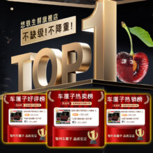PLUS会员：悠轶 车厘子智利进口大樱桃 净重2.5斤【礼盒装+保温箱】 特大果2JJ级 单果28-30mm