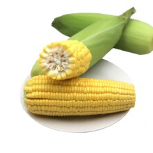 plus会员:京百味佳农嫩甜多汁甜玉米5-6根4.5斤装