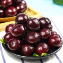 松筱 车厘子礼盒樱桃 750g(净重)  大果J级 26-28mm