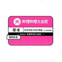bilibili  哔哩哔哩 大会员年卡12个月