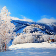 长白山 万达5店3晚含早+雪屋/徒步/漂流/意火餐厅4选1