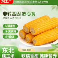 麦益卡 2024东北黄糯玉米新鲜真空包装黏玉米苞白玉米大棒220g*8根即食