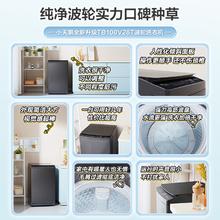 小天鹅 全自动大容量波轮8/10/12KG租房家用宿舍洗脱一体洗衣机26T