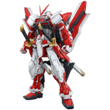 万代（BANDAI）Gundam 高达拼插拼装模型玩具 MG 1/100 NT敢达 新年礼物 红色异端改 5061607