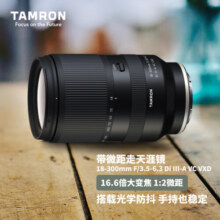 腾龙（Tamron）B061S 18-300mm F/3.5-6.3 Di III-A VC VXD防抖远摄大变焦（索尼APS-C专用E口）圣诞礼物 送礼