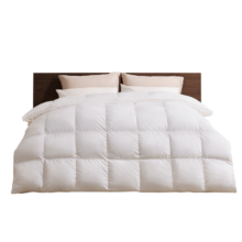 PLUS：京东京造Duvet D'oie杜唯朵羽绒被  2*2.3米