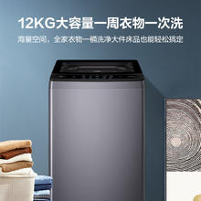 海尔 Haier 波轮洗衣机全自动家用 12公斤 XQB120-BSE629