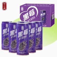 云小耳●黑莓益生菌饮料6罐