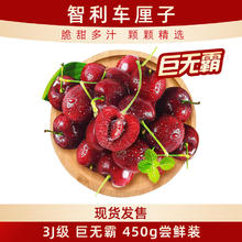 京鲜生 Mr.Seafood 智利进口车厘子巨无霸3J级 450g 果径约30-32mm 新鲜水果