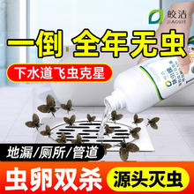 皎洁 下水道杀虫剂厕所小飞虫灭杀卫生间除虫灭蛾蚋室内管道900g 下水道杀虫剂900ml