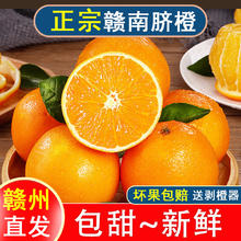 赣南脐橙 江西赣南脐橙当季时令水果新鲜甜橙子榨汁年货团购产地直发 精品果9斤（单果200g+）