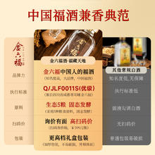 金六福 白酒礼盒福藏天地50.8度兼香型白酒双支礼盒送礼500ml*2瓶
