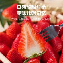 满fun 大凉山牛奶草莓非丹东99红颜露天草莓新鲜水果年货盒高档 15-20g大果礼盒 净重3斤