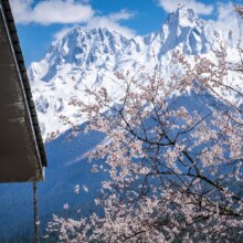 松赞桃花季 波密-来古-百巴6天5晚双人私家游-遇见桃花与冰川