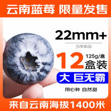 京鲜生 Mr.Seafood 云南蓝莓 12盒装 约125g/盒 果径22mm+