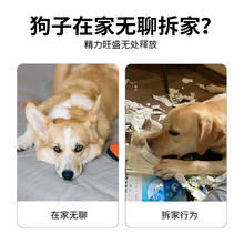 88VIP会员：柒哦 宠物狗狗发声玩具响纸报纸仿真耐咬磨牙解闷神器比熊金毛用品自嗨