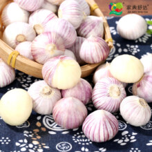 家美舒达 山东 独蒜 独头蒜 大蒜 1斤 新鲜蔬菜