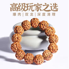 宏宇呈祥 尼泊尔原生态大金刚菩提手串五六瓣满肉双龙纹梅花桩佛珠手链男款