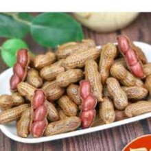 栗香赞带壳 五香卤汁花生500g*1袋