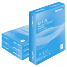 得力（deli）白令海A4打印纸 70g500张*4包一箱 双面高性价比复印纸 整箱2000张7773【经济热销】