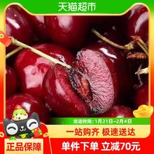 罗太号 智利进口车厘子 XL 5斤