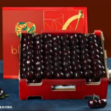 16日20点开始、限3000件：智利进口车厘子 净重2kg 特大果3JJJ级 30-32mm