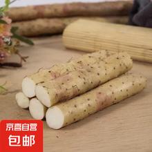 京喜加 粉糯正宗铁棍山药 淮山药 500g (10cm-15cm)