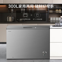 容声 BD/BC-300ZMSMA 一级能效 冰柜 300升
