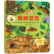 《揭秘翻翻书：揭秘昆虫》