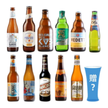 何以解忧全球精酿啤酒组合装 白啤/IPA/修道院/世涛啤酒 比利时/德国等 全球多种类 330mL 11瓶 +精酿杯